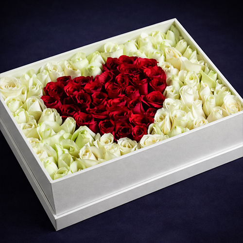 Valentine's Day Gifts